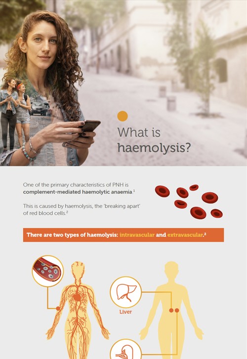 What_is_haemolysis_my-PNH